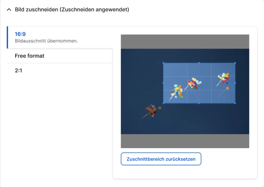 Vorschaubereich mit hervorgehobenem aktuellen Zuschnitt, Reiter für 16:9, Freies Format und 2:1