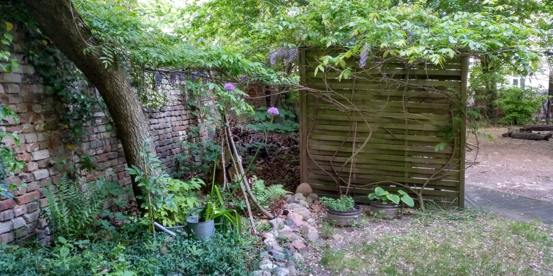 Garden view: brick wall, tree, lots of different plants